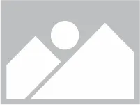 PHOTINIA FRASERI LITTLE RED ROBIN